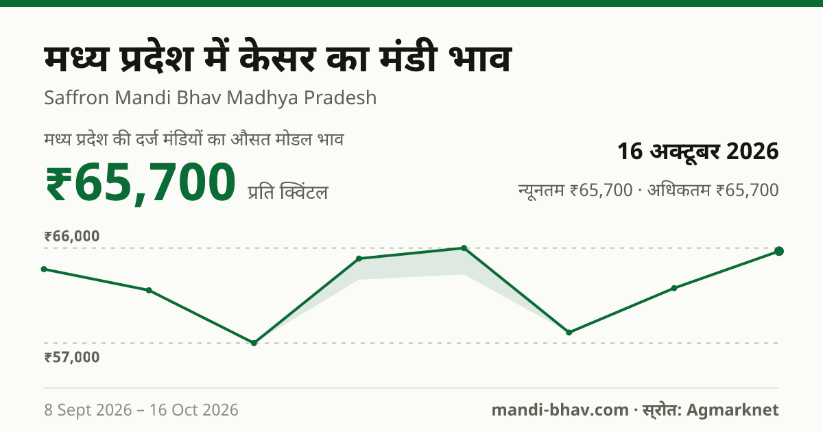 मध्य प्रदेश में केसर का मंडी भाव 16 अक्टूबर 2026: औसत मोडल ₹65,700 प्रति क्विंटल, भाव के रुझान का चार्ट