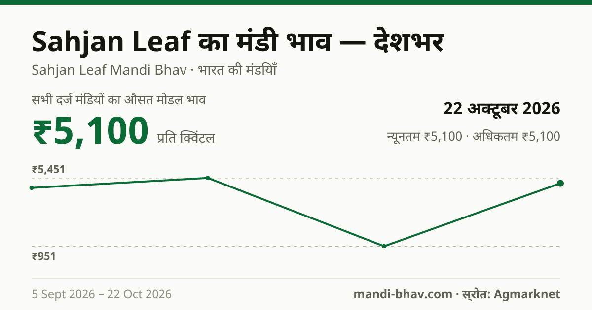 देशभर में Sahjan Leaf का मंडी भाव 22 अक्टूबर 2026: औसत मोडल ₹5,100 प्रति क्विंटल, भाव के रुझान का चार्ट