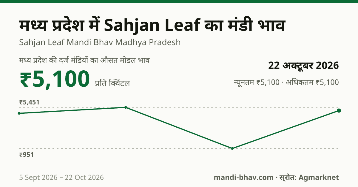 मध्य प्रदेश में Sahjan Leaf का मंडी भाव 22 अक्टूबर 2026: औसत मोडल ₹5,100 प्रति क्विंटल, भाव के रुझान का चार्ट