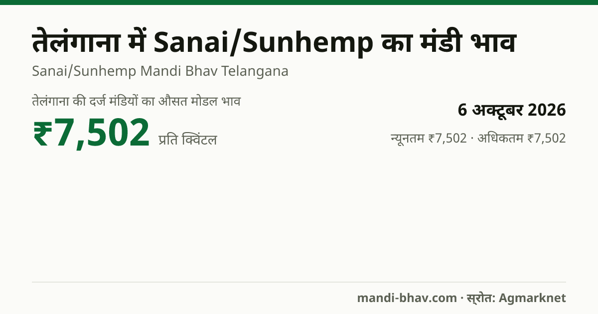 तेलंगाना में Sanai/Sunhemp का मंडी भाव 6 अक्टूबर 2026: औसत मोडल ₹7,502 प्रति क्विंटल, भाव के रुझान का चार्ट