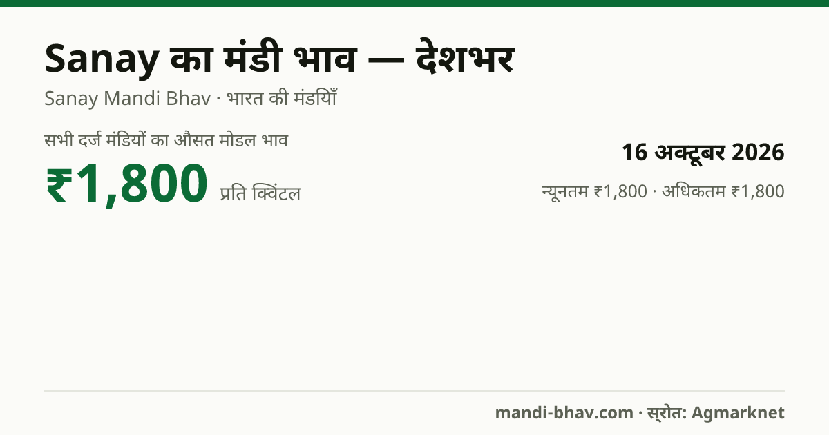 देशभर में Sanay का मंडी भाव 16 अक्टूबर 2026: औसत मोडल ₹1,800 प्रति क्विंटल, भाव के रुझान का चार्ट