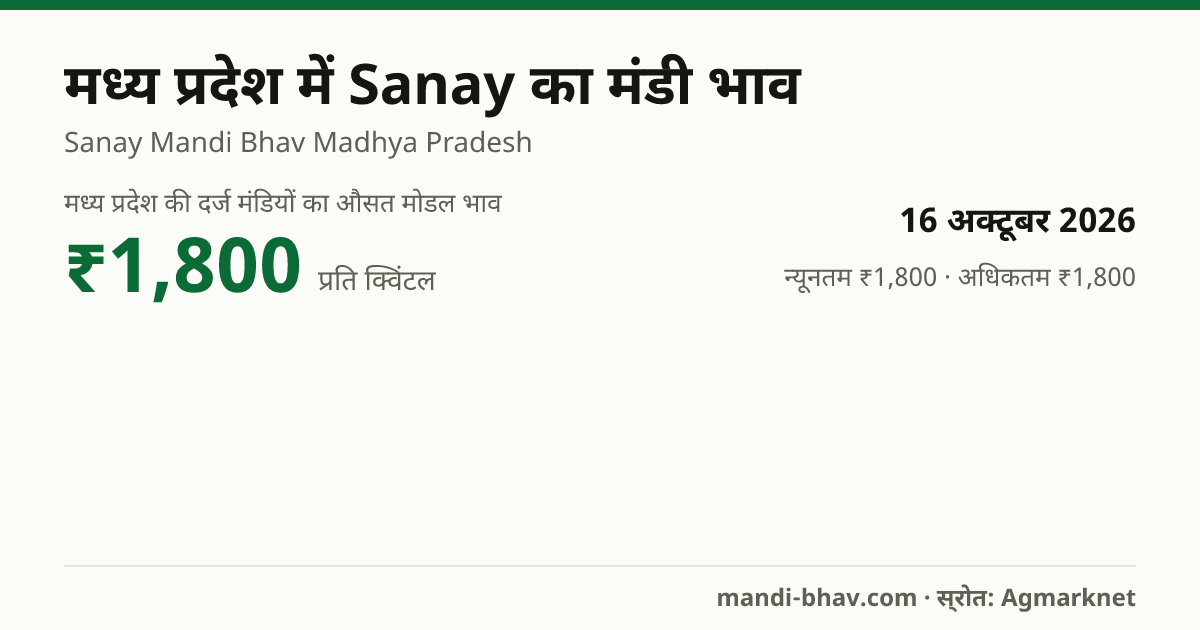मध्य प्रदेश में Sanay का मंडी भाव 16 अक्टूबर 2026: औसत मोडल ₹1,800 प्रति क्विंटल, भाव के रुझान का चार्ट