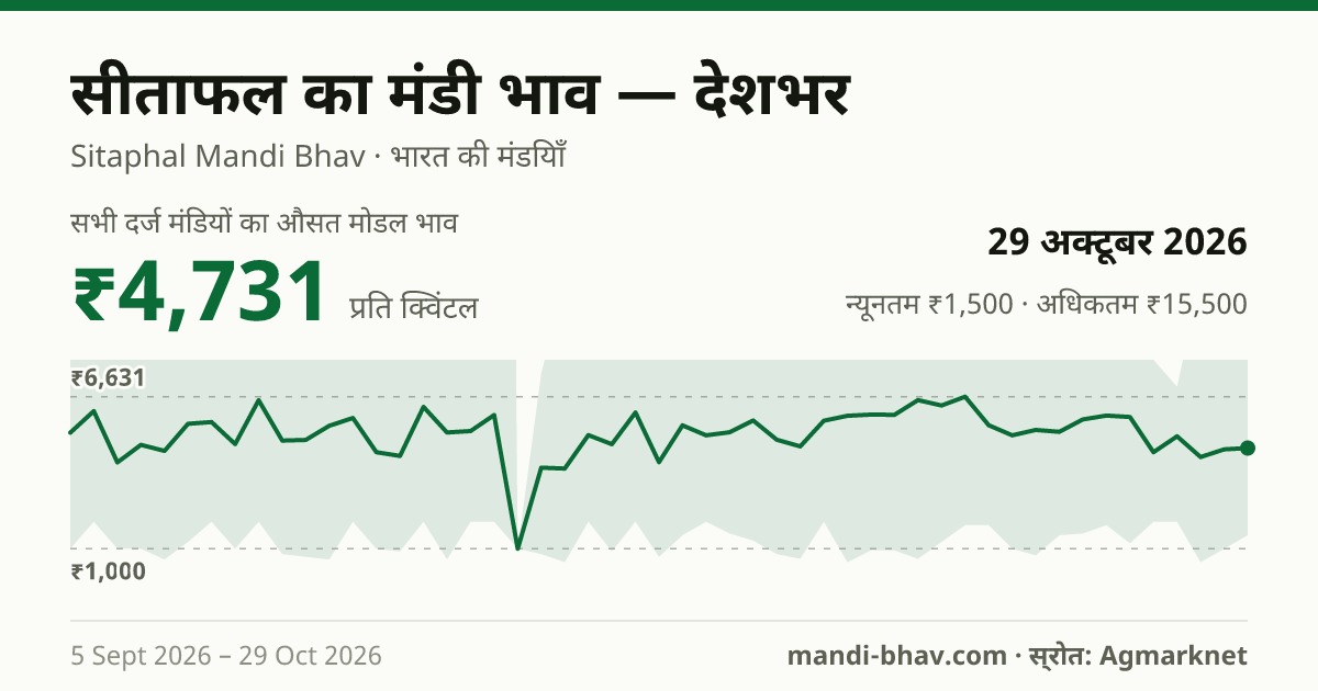 देशभर में Seetapal का मंडी भाव 29 अक्टूबर 2026: औसत मोडल ₹4,878 प्रति क्विंटल, भाव के रुझान का चार्ट