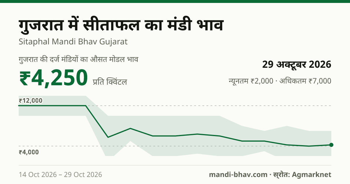 गुजरात में Seetapal का मंडी भाव 29 अक्टूबर 2026: औसत मोडल ₹4,250 प्रति क्विंटल, भाव के रुझान का चार्ट