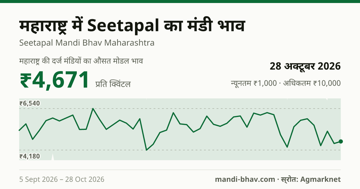 महाराष्ट्र में Seetapal का मंडी भाव 28 अक्टूबर 2026: औसत मोडल ₹4,671 प्रति क्विंटल, भाव के रुझान का चार्ट