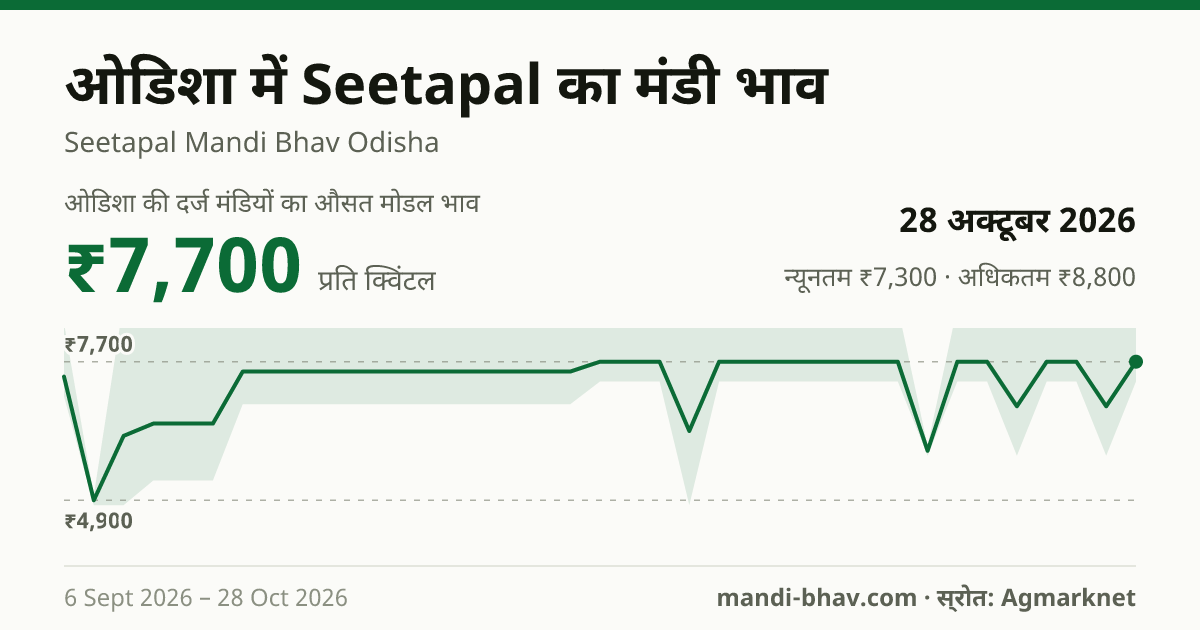 ओडिशा में Seetapal का मंडी भाव 28 अक्टूबर 2026: औसत मोडल ₹7,700 प्रति क्विंटल, भाव के रुझान का चार्ट