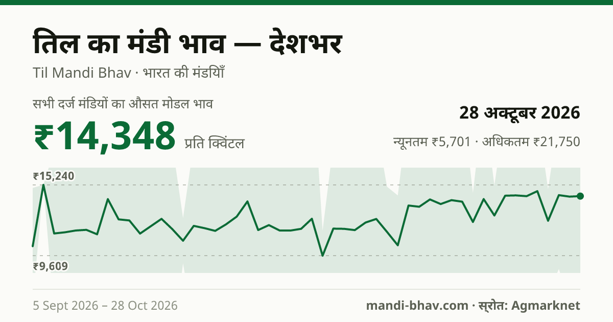 देशभर में तिल का मंडी भाव 28 अक्टूबर 2026: औसत मोडल ₹14,348 प्रति क्विंटल, भाव के रुझान का चार्ट