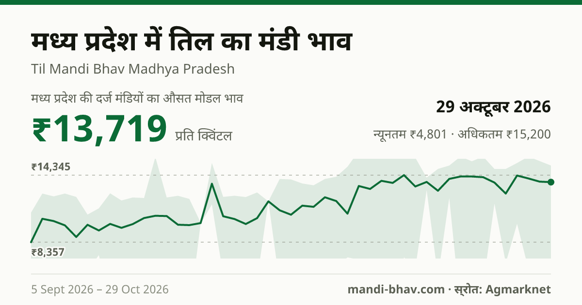 मध्य प्रदेश में तिल का मंडी भाव 29 अक्टूबर 2026: औसत मोडल ₹13,719 प्रति क्विंटल, भाव के रुझान का चार्ट