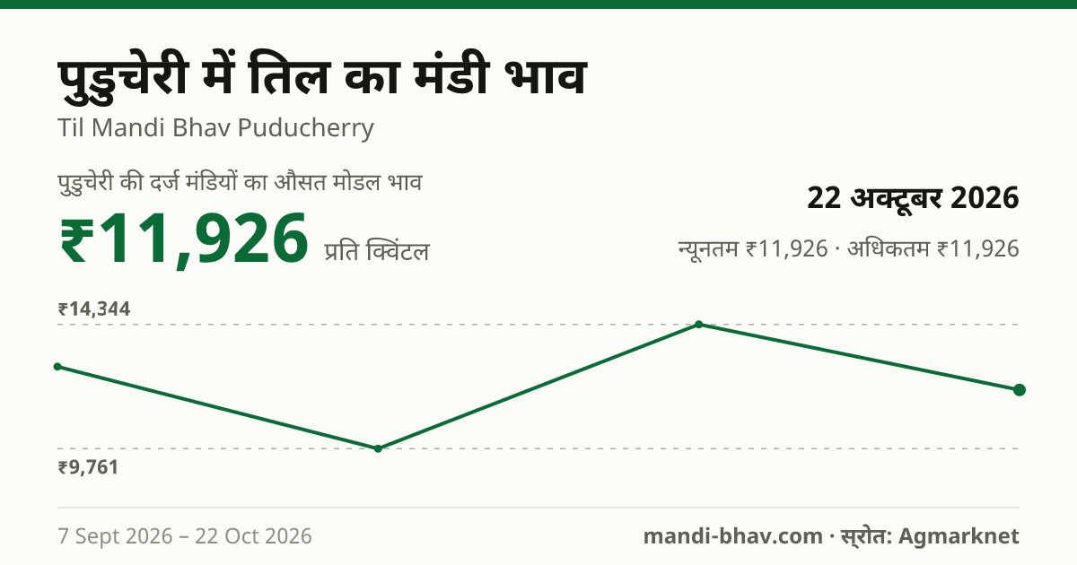 पुडुचेरी में तिल का मंडी भाव 22 अक्टूबर 2026: औसत मोडल ₹11,926 प्रति क्विंटल, भाव के रुझान का चार्ट