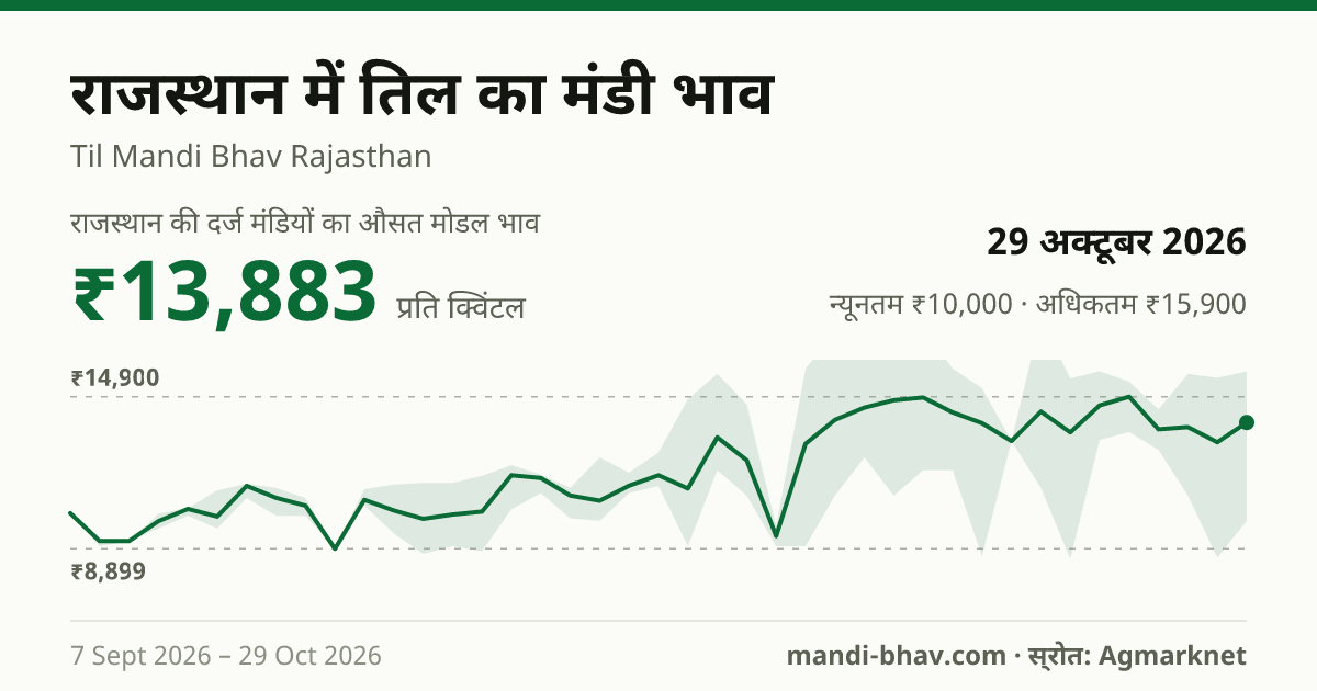 राजस्थान में तिल का मंडी भाव 29 अक्टूबर 2026: औसत मोडल ₹13,633 प्रति क्विंटल, भाव के रुझान का चार्ट