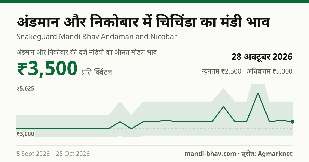 अंडमान और निकोबार में चिचिंडा का मंडी भाव 28 अक्टूबर 2026: औसत मोडल ₹3,500 प्रति क्विंटल, भाव के रुझान का चार्ट