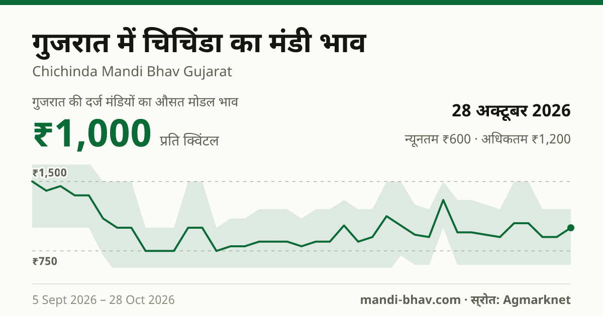गुजरात में चिचिंडा का मंडी भाव 28 अक्टूबर 2026: औसत मोडल ₹900 प्रति क्विंटल, भाव के रुझान का चार्ट