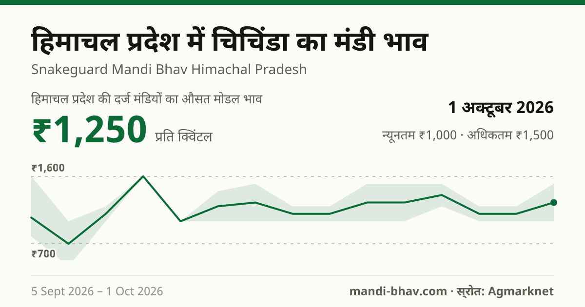 हिमाचल प्रदेश में चिचिंडा का मंडी भाव 1 अक्टूबर 2026: औसत मोडल ₹1,250 प्रति क्विंटल, भाव के रुझान का चार्ट