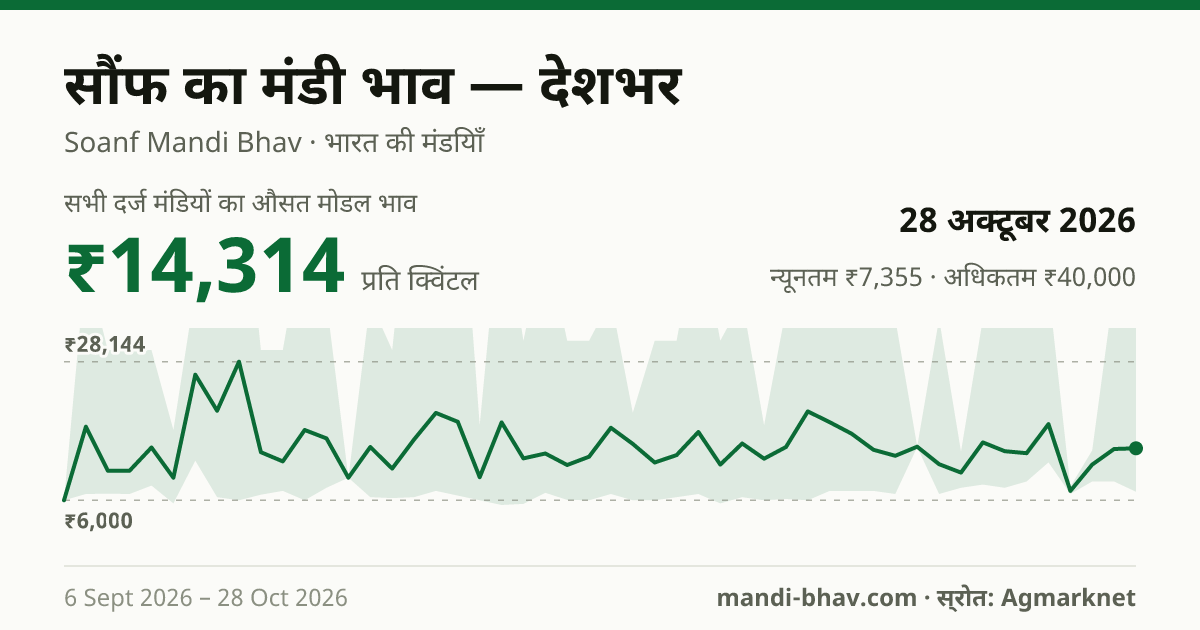 देशभर में सौंफ का मंडी भाव 28 अक्टूबर 2026: औसत मोडल ₹14,314 प्रति क्विंटल, भाव के रुझान का चार्ट
