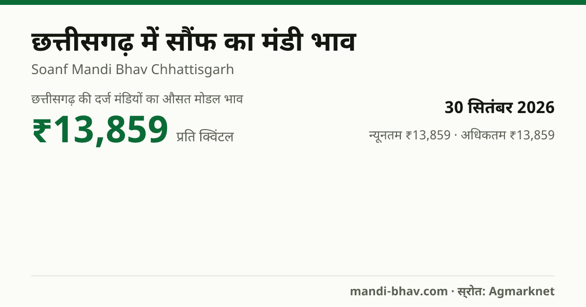 छत्तीसगढ़ में सौंफ का मंडी भाव 30 सितंबर 2026: औसत मोडल ₹13,859 प्रति क्विंटल, भाव के रुझान का चार्ट