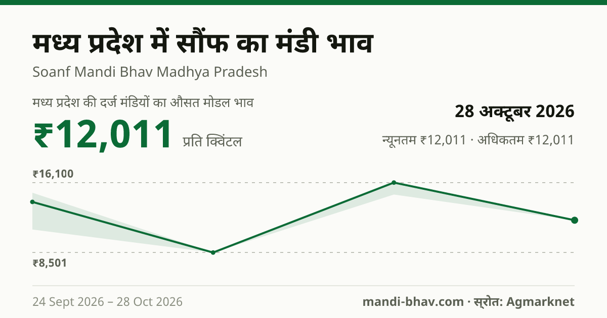 मध्य प्रदेश में सौंफ का मंडी भाव 28 अक्टूबर 2026: औसत मोडल ₹12,011 प्रति क्विंटल, भाव के रुझान का चार्ट