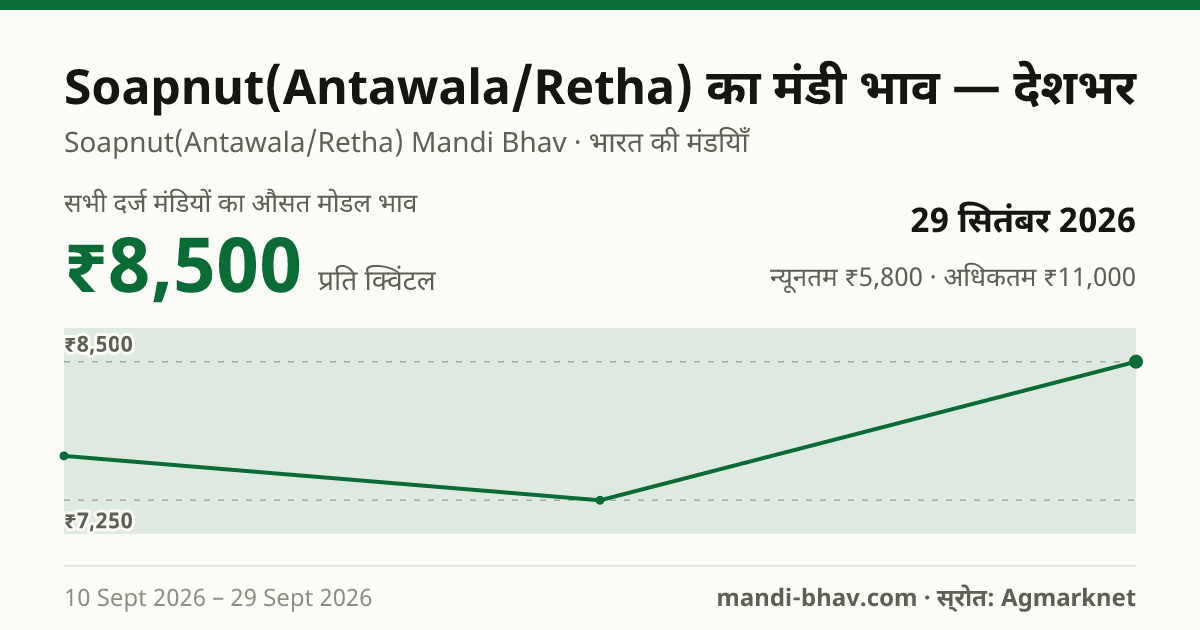 देशभर में Soapnut(Antawala/Retha) का मंडी भाव 29 सितंबर 2026: औसत मोडल ₹8,500 प्रति क्विंटल, भाव के रुझान का चार्ट