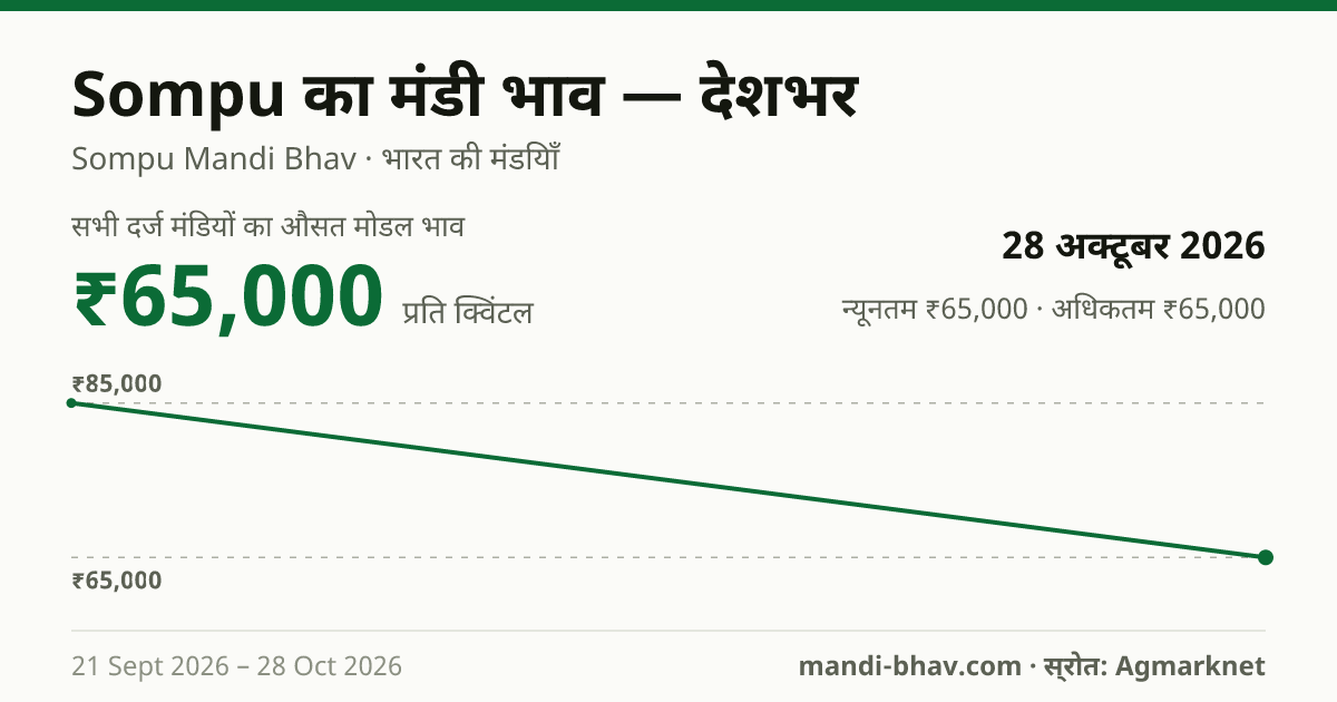 देशभर में Sompu का मंडी भाव 28 अक्टूबर 2026: औसत मोडल ₹65,000 प्रति क्विंटल, भाव के रुझान का चार्ट