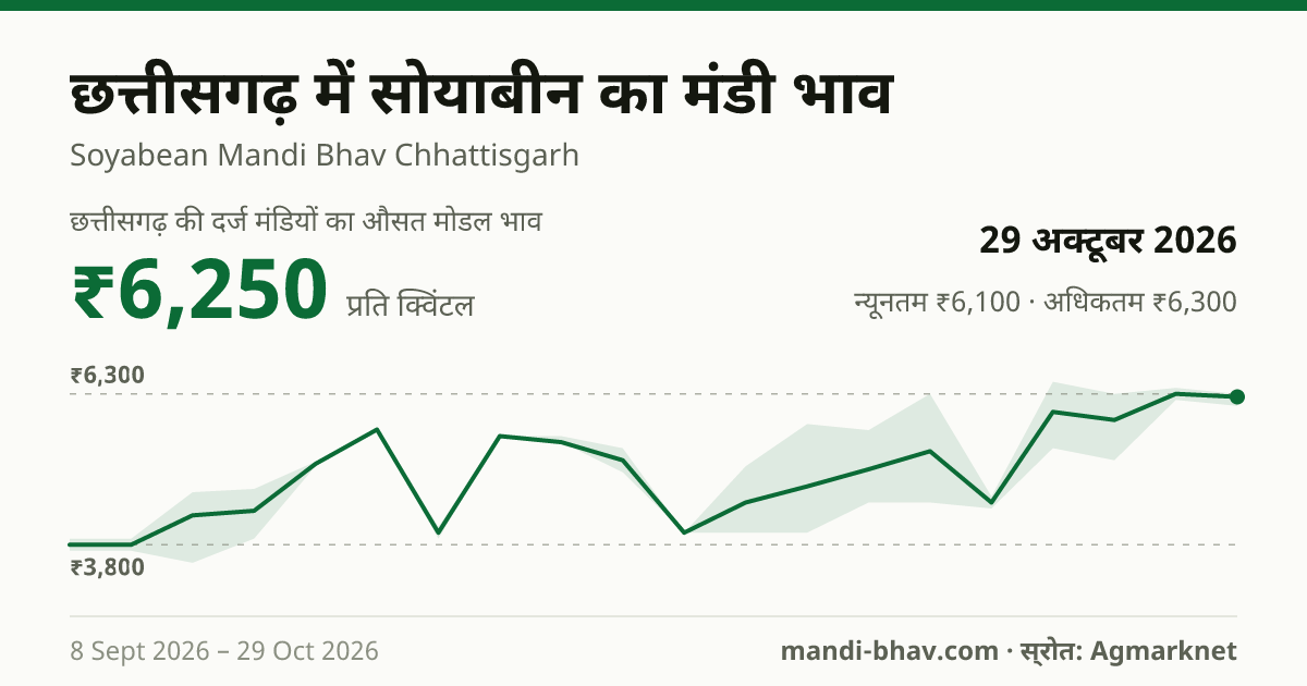 छत्तीसगढ़ में सोयाबीन का मंडी भाव 29 अक्टूबर 2026: औसत मोडल ₹6,250 प्रति क्विंटल, भाव के रुझान का चार्ट