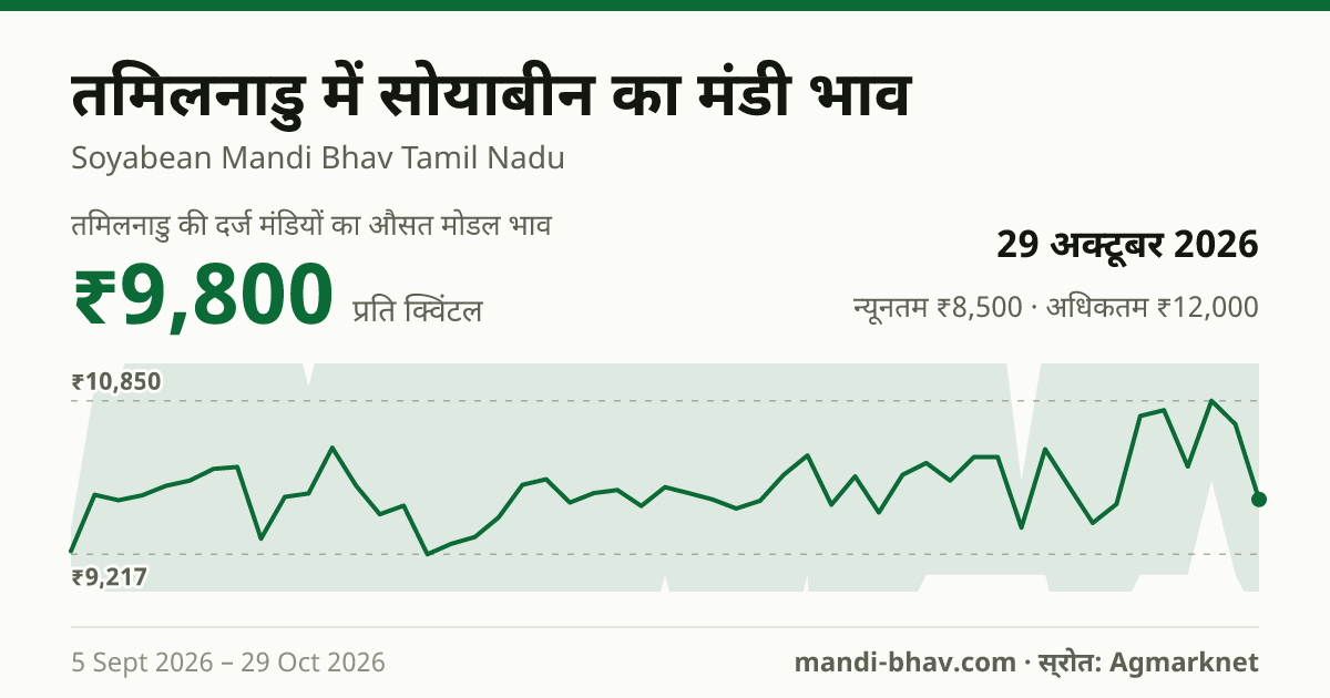 तमिलनाडु में सोयाबीन का मंडी भाव 29 अक्टूबर 2026: औसत मोडल ₹9,800 प्रति क्विंटल, भाव के रुझान का चार्ट