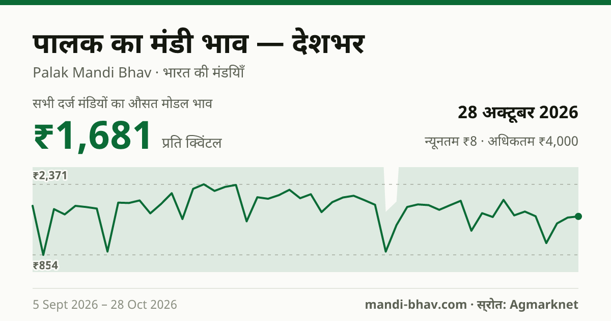 देशभर में पालक का मंडी भाव 28 अक्टूबर 2026: औसत मोडल ₹1,677 प्रति क्विंटल, भाव के रुझान का चार्ट