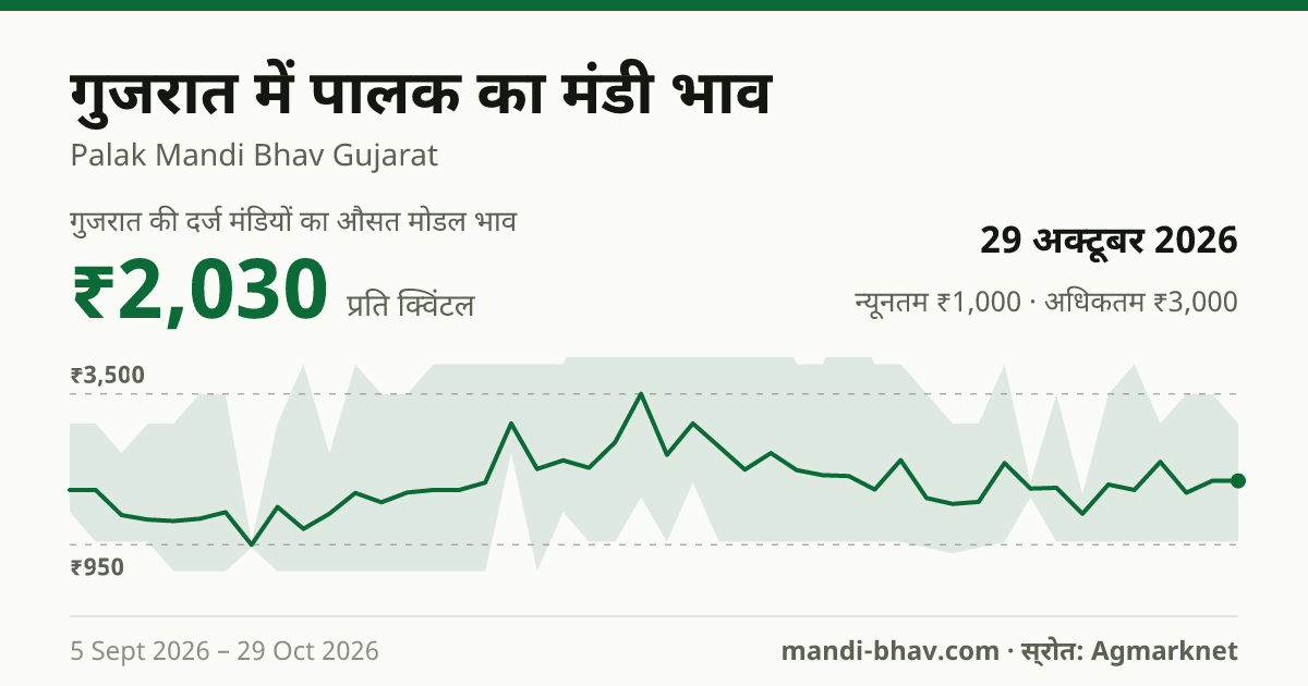 गुजरात में पालक का मंडी भाव 29 अक्टूबर 2026: औसत मोडल ₹2,030 प्रति क्विंटल, भाव के रुझान का चार्ट