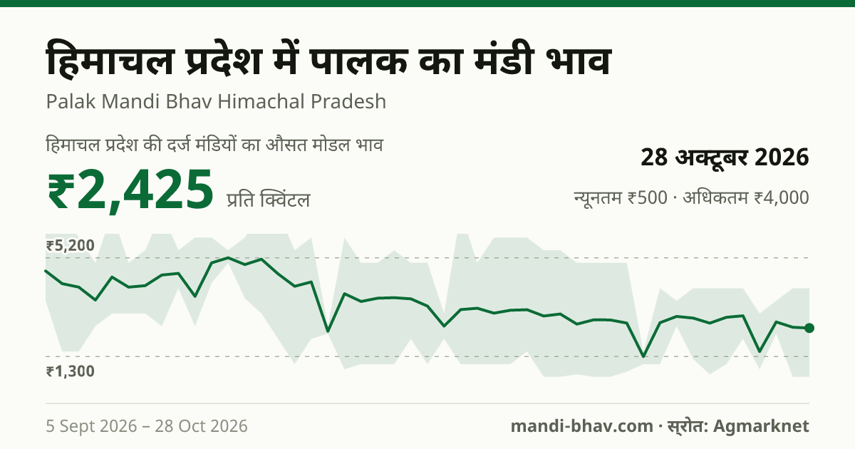 हिमाचल प्रदेश में पालक का मंडी भाव 28 अक्टूबर 2026: औसत मोडल ₹2,425 प्रति क्विंटल, भाव के रुझान का चार्ट