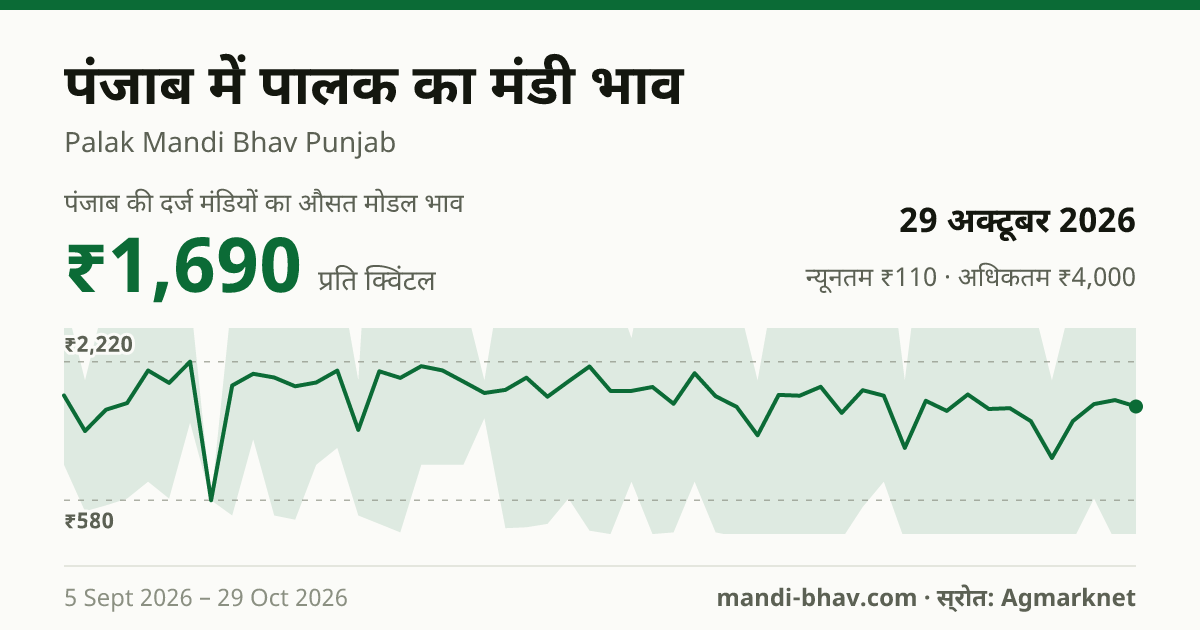 पंजाब में पालक का मंडी भाव 29 अक्टूबर 2026: औसत मोडल ₹1,690 प्रति क्विंटल, भाव के रुझान का चार्ट