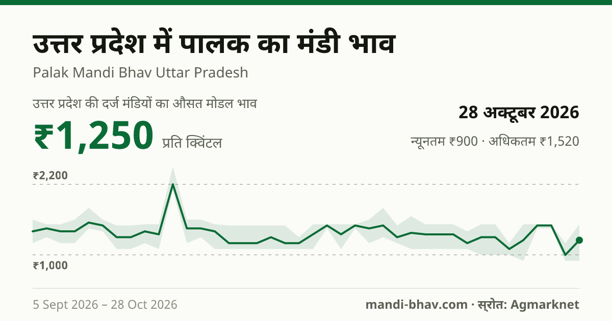 उत्तर प्रदेश में पालक का मंडी भाव 28 अक्टूबर 2026: औसत मोडल ₹1,250 प्रति क्विंटल, भाव के रुझान का चार्ट