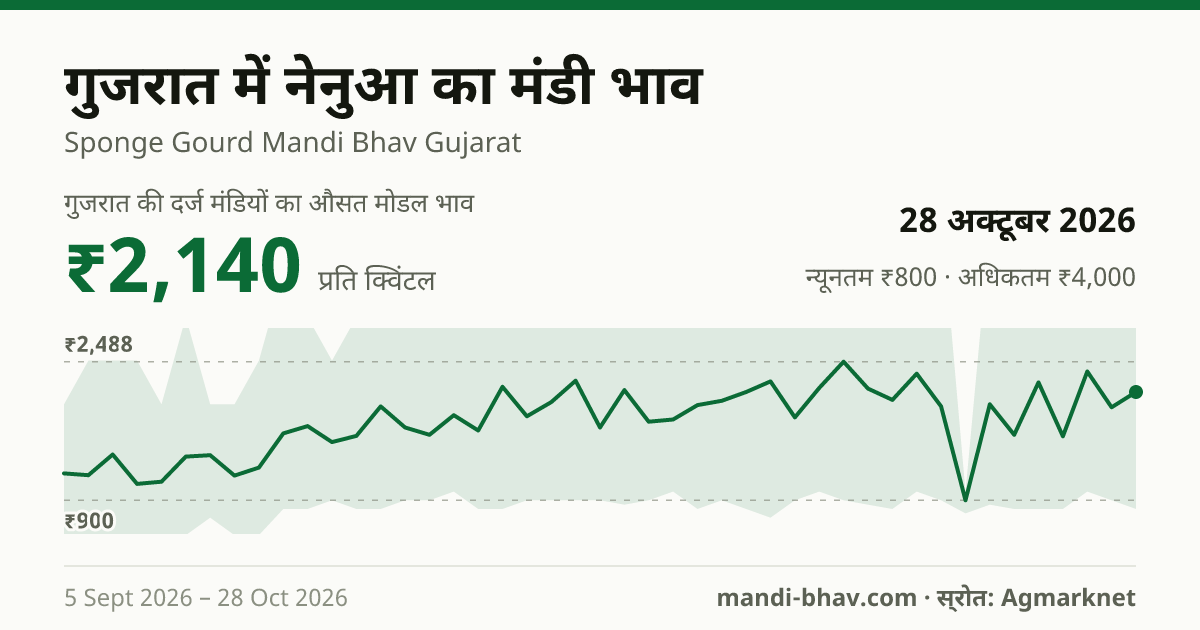 गुजरात में नेनुआ का मंडी भाव 28 अक्टूबर 2026: औसत मोडल ₹2,140 प्रति क्विंटल, भाव के रुझान का चार्ट
