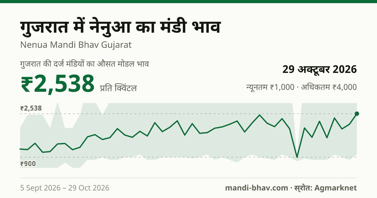 गुजरात में नेनुआ का मंडी भाव 29 अक्टूबर 2026: औसत मोडल ₹2,538 प्रति क्विंटल, भाव के रुझान का चार्ट