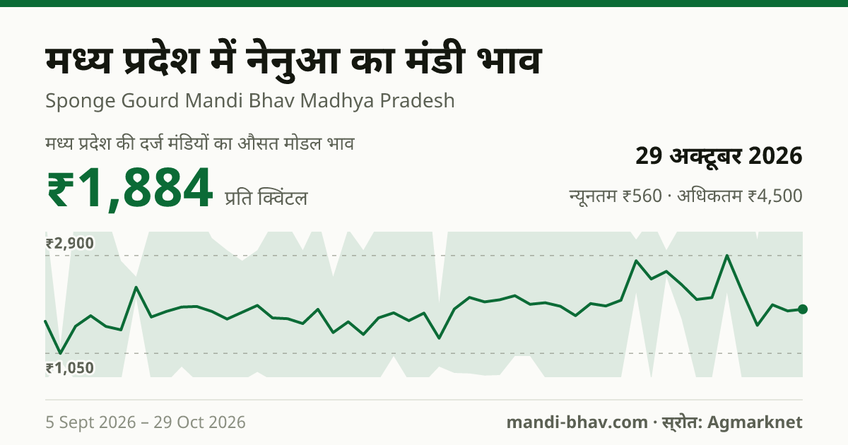मध्य प्रदेश में नेनुआ का मंडी भाव 29 अक्टूबर 2026: औसत मोडल ₹1,884 प्रति क्विंटल, भाव के रुझान का चार्ट