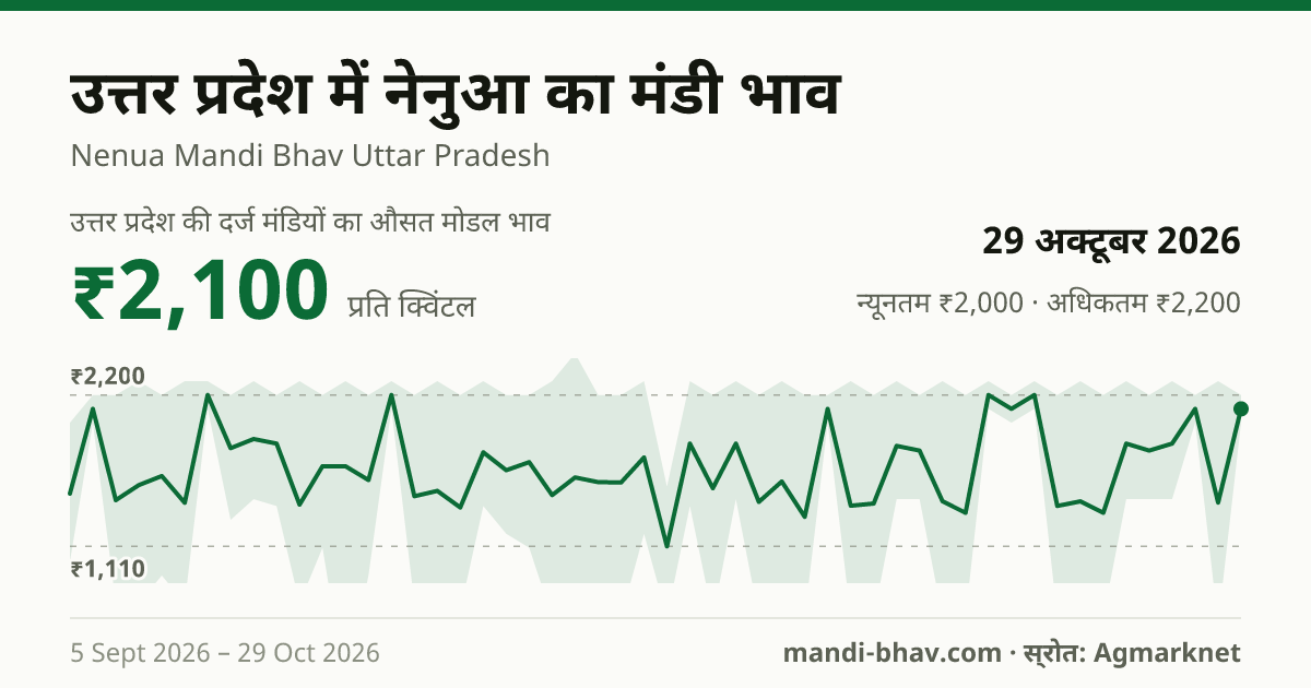 उत्तर प्रदेश में नेनुआ का मंडी भाव 29 अक्टूबर 2026: औसत मोडल ₹2,100 प्रति क्विंटल, भाव के रुझान का चार्ट