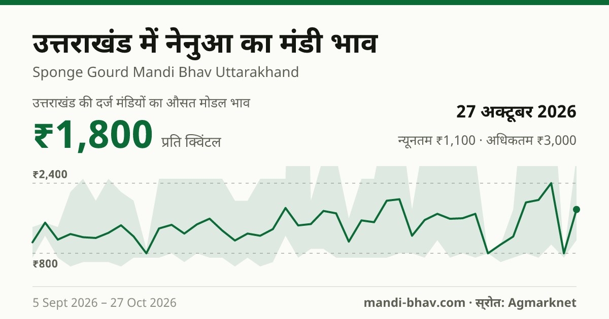 उत्तराखंड में नेनुआ का मंडी भाव 27 अक्टूबर 2026: औसत मोडल ₹1,800 प्रति क्विंटल, भाव के रुझान का चार्ट