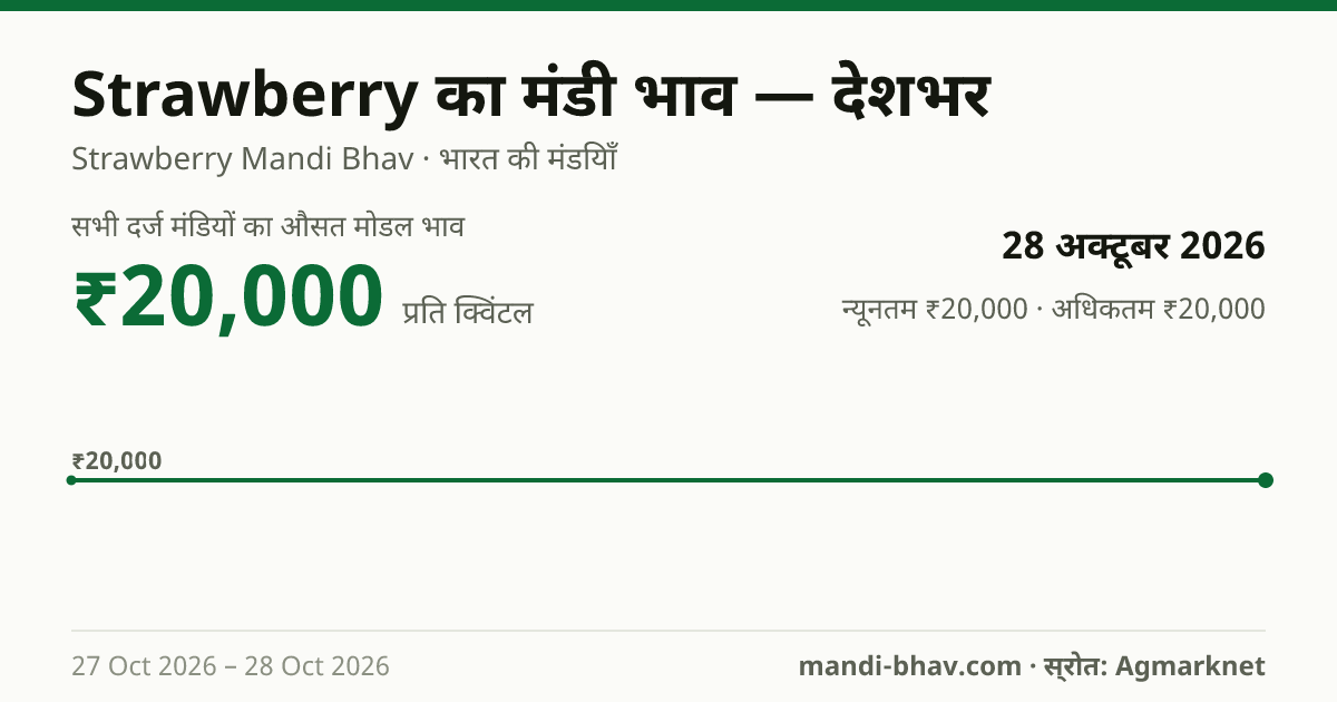 देशभर में Strawberry का मंडी भाव 28 अक्टूबर 2026: औसत मोडल ₹20,000 प्रति क्विंटल, भाव के रुझान का चार्ट