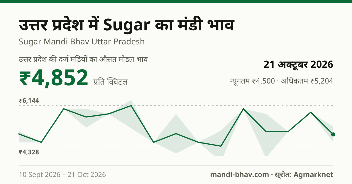 उत्तर प्रदेश में Sugar का मंडी भाव 21 अक्टूबर 2026: औसत मोडल ₹4,852 प्रति क्विंटल, भाव के रुझान का चार्ट
