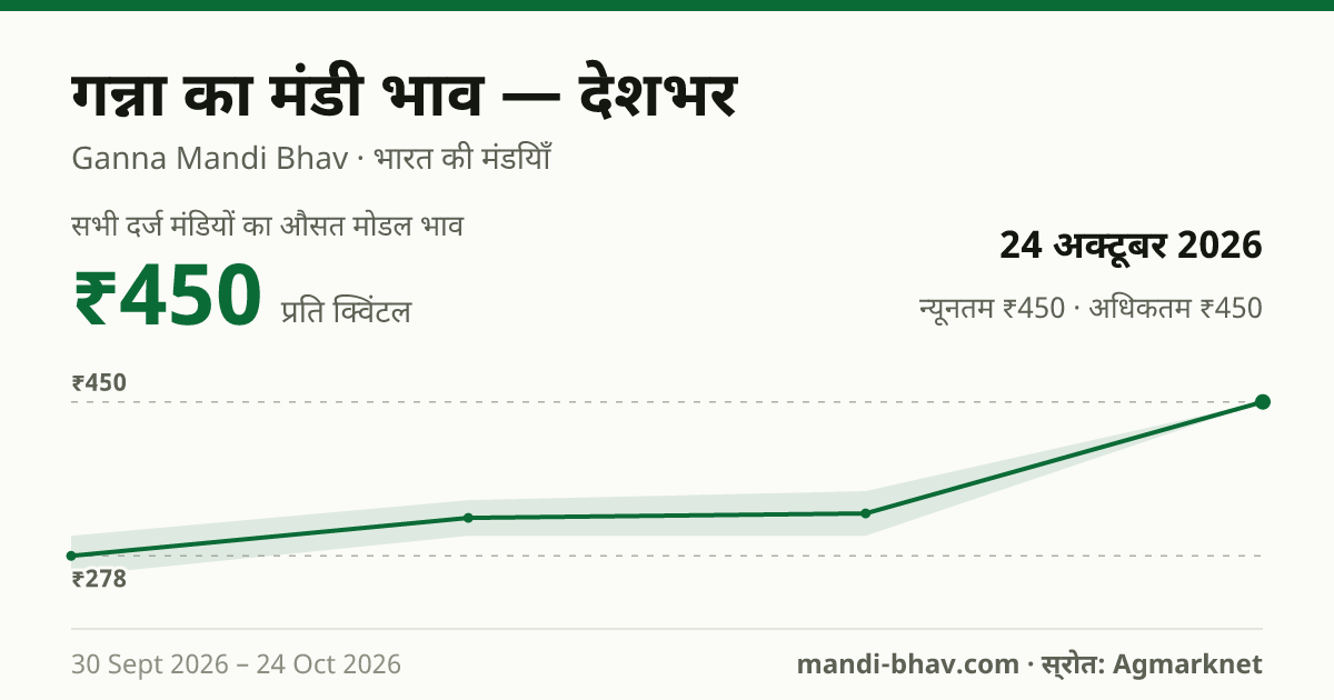देशभर में गन्ना का मंडी भाव 24 अक्टूबर 2026: औसत मोडल ₹450 प्रति क्विंटल, भाव के रुझान का चार्ट