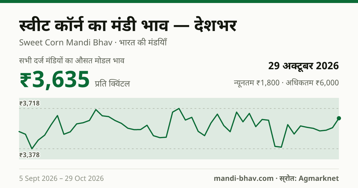 देशभर में स्वीट कॉर्न का मंडी भाव 29 अक्टूबर 2026: औसत मोडल ₹3,635 प्रति क्विंटल, भाव के रुझान का चार्ट