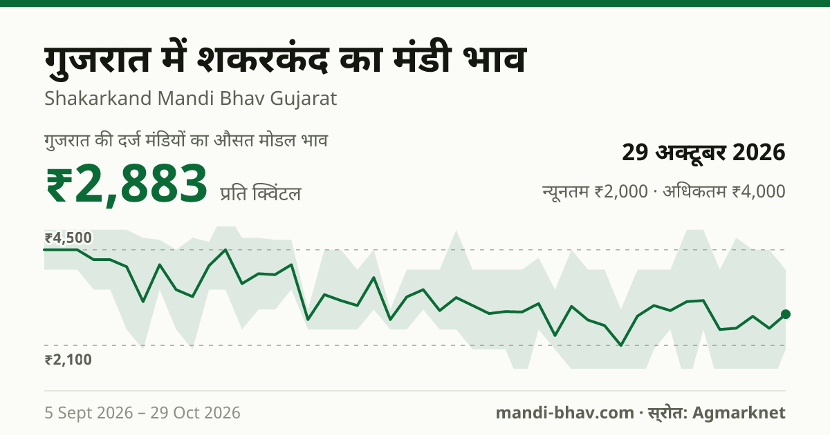गुजरात में शकरकंद का मंडी भाव 29 अक्टूबर 2026: औसत मोडल ₹3,125 प्रति क्विंटल, भाव के रुझान का चार्ट