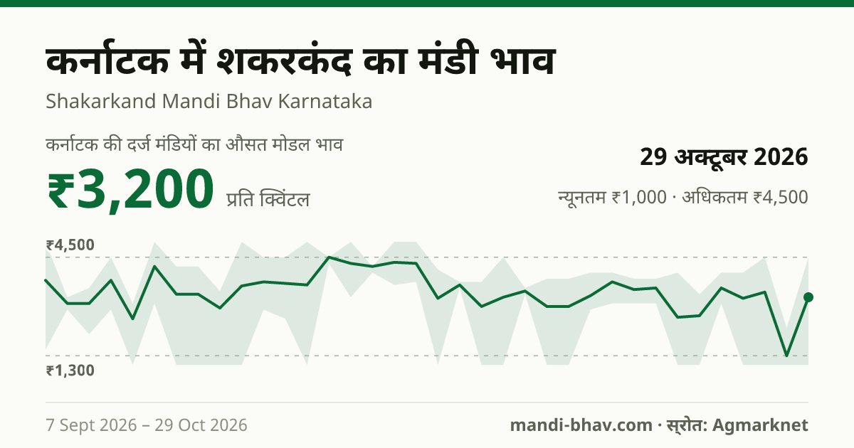 कर्नाटक में शकरकंद का मंडी भाव 29 अक्टूबर 2026: औसत मोडल ₹4,000 प्रति क्विंटल, भाव के रुझान का चार्ट