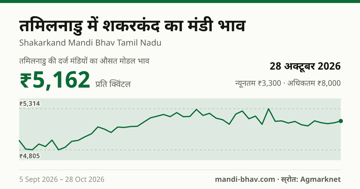 तमिलनाडु में शकरकंद का मंडी भाव 28 अक्टूबर 2026: औसत मोडल ₹5,162 प्रति क्विंटल, भाव के रुझान का चार्ट