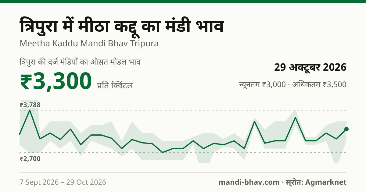 त्रिपुरा में Sweet Pumpkin का मंडी भाव 29 अक्टूबर 2026: औसत मोडल ₹3,300 प्रति क्विंटल, भाव के रुझान का चार्ट