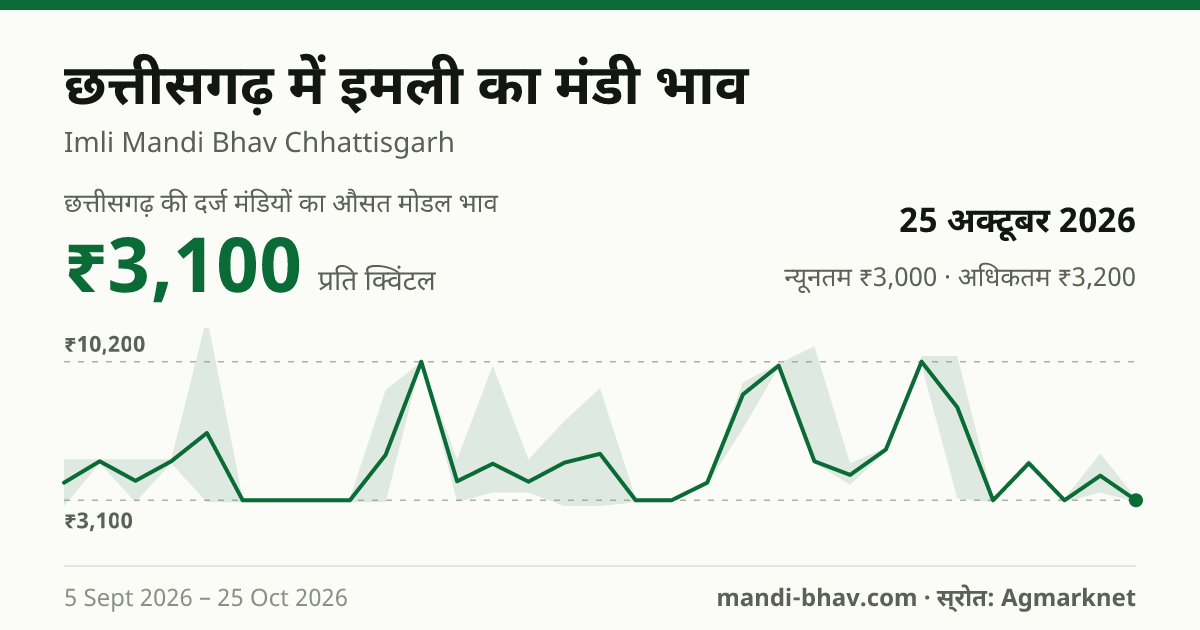 छत्तीसगढ़ में इमली का मंडी भाव 25 अक्टूबर 2026: औसत मोडल ₹3,100 प्रति क्विंटल, भाव के रुझान का चार्ट