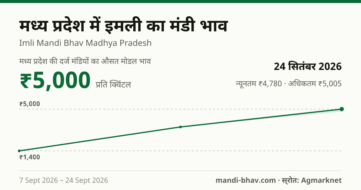 मध्य प्रदेश में इमली का मंडी भाव 24 सितंबर 2026: औसत मोडल ₹5,000 प्रति क्विंटल, भाव के रुझान का चार्ट