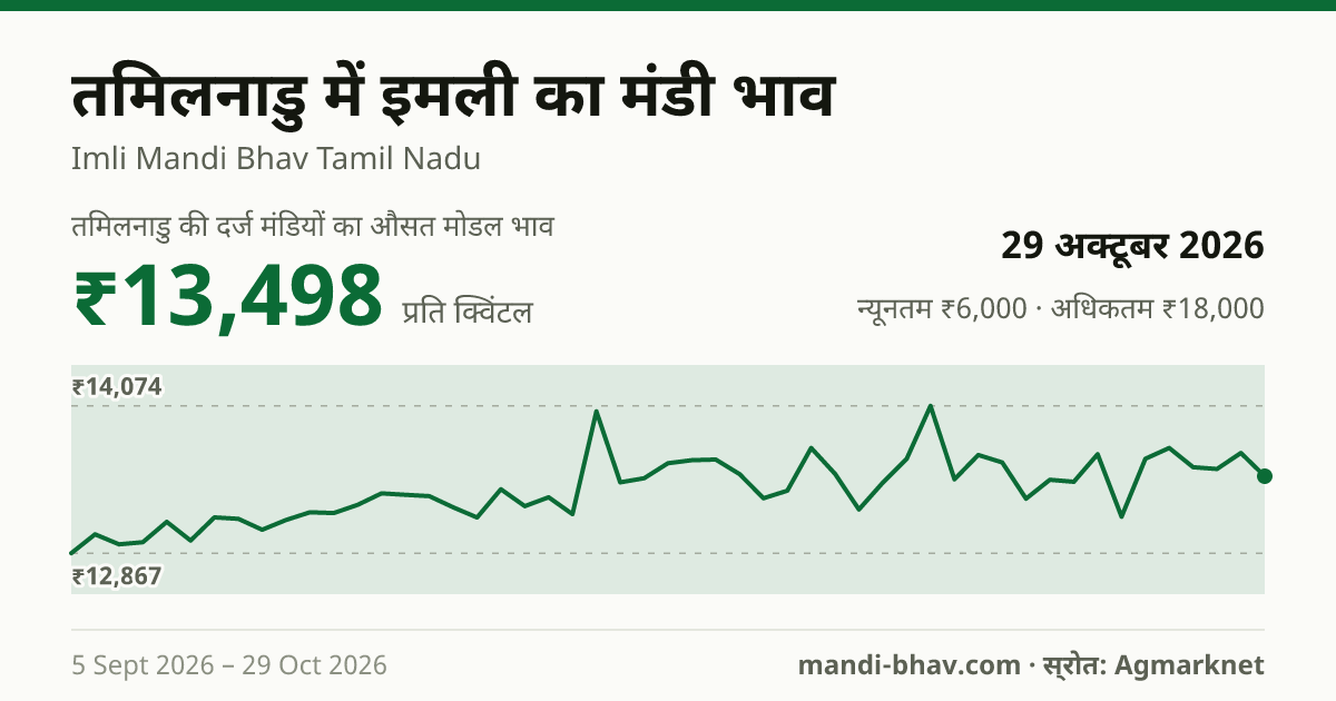 तमिलनाडु में इमली का मंडी भाव 29 अक्टूबर 2026: औसत मोडल ₹13,498 प्रति क्विंटल, भाव के रुझान का चार्ट