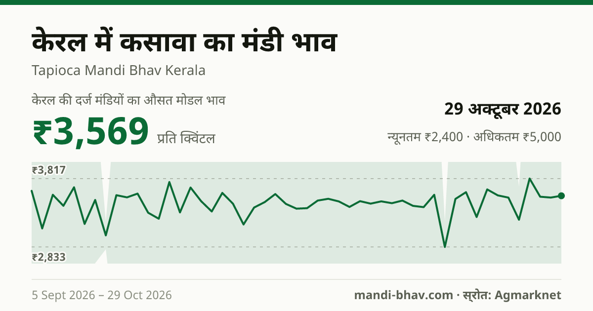 केरल में कसावा का मंडी भाव 29 अक्टूबर 2026: औसत मोडल ₹3,569 प्रति क्विंटल, भाव के रुझान का चार्ट