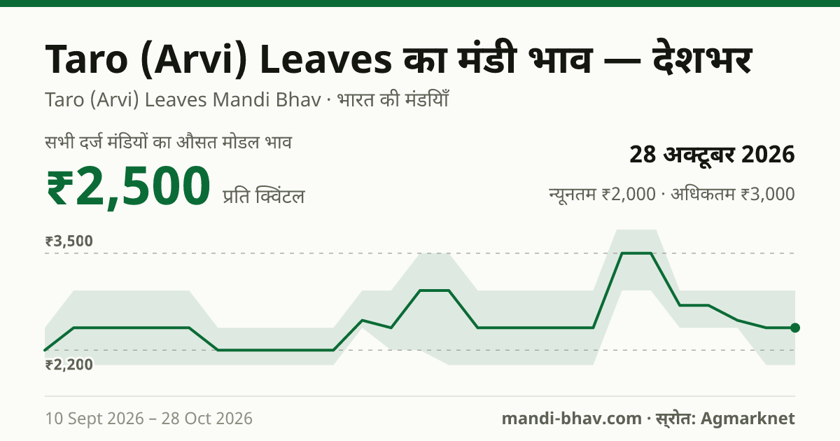 देशभर में Taro (Arvi) Leaves का मंडी भाव 28 अक्टूबर 2026: औसत मोडल ₹2,500 प्रति क्विंटल, भाव के रुझान का चार्ट