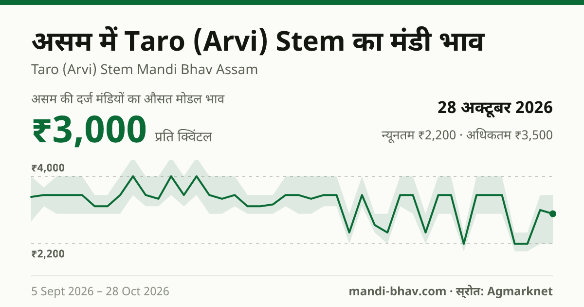 असम में Taro (Arvi) Stem का मंडी भाव 28 अक्टूबर 2026: औसत मोडल ₹3,000 प्रति क्विंटल, भाव के रुझान का चार्ट