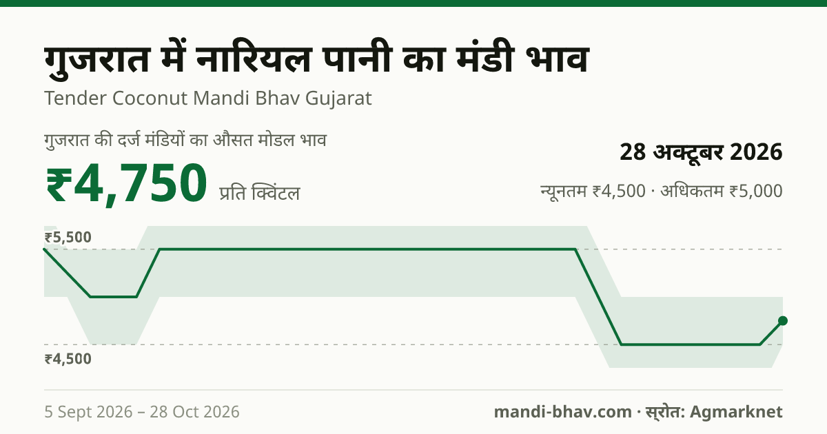 गुजरात में नारियल पानी का मंडी भाव 28 अक्टूबर 2026: औसत मोडल ₹4,750 प्रति क्विंटल, भाव के रुझान का चार्ट