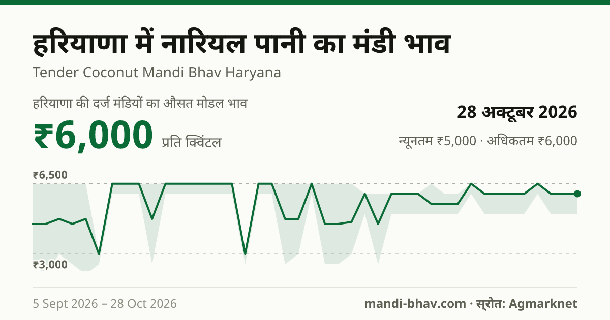हरियाणा में नारियल पानी का मंडी भाव 28 अक्टूबर 2026: औसत मोडल ₹6,000 प्रति क्विंटल, भाव के रुझान का चार्ट
